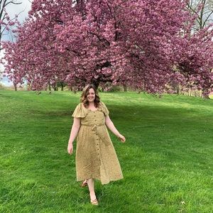 Anthropologie Safari Print Dress